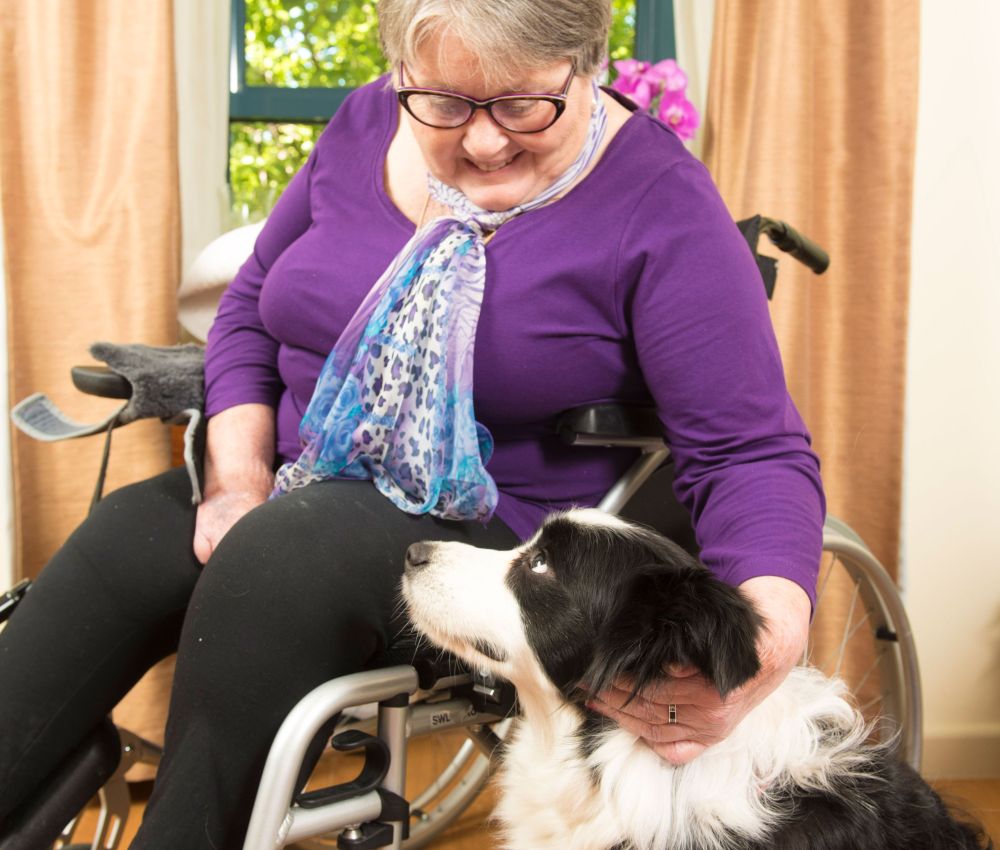 Pet therapy 2024 aged care